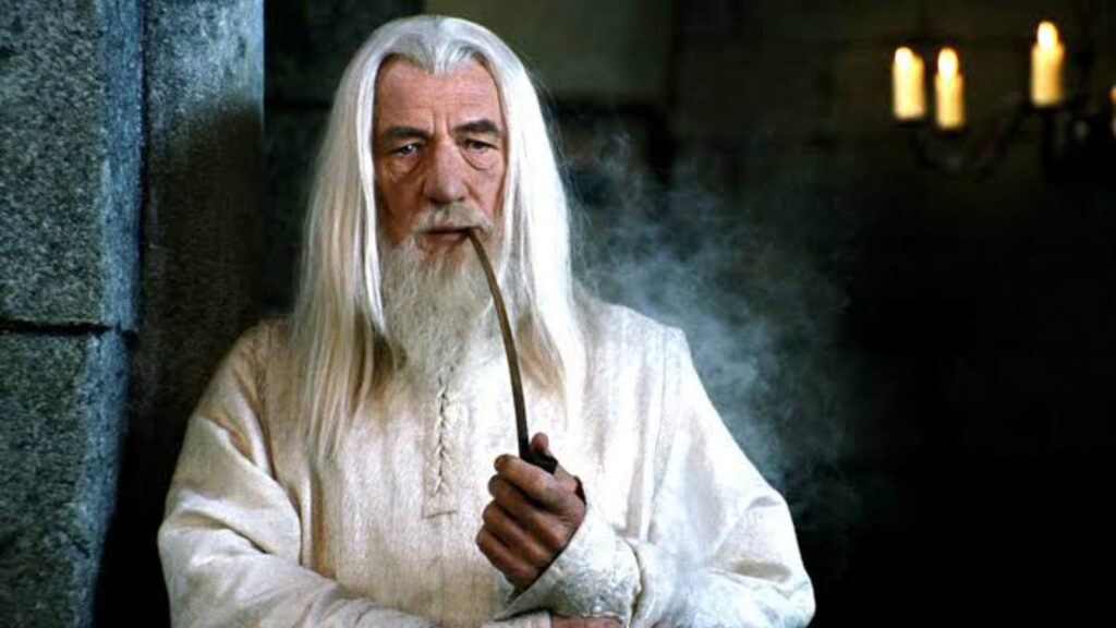 Ian McKellen as Gandalf in 'Lord Of The Rings' (Image: Amazon Prime Video)