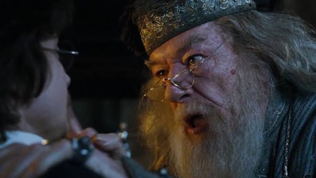 Dumbledore and Harry Potter (Image: Warner Bros) 