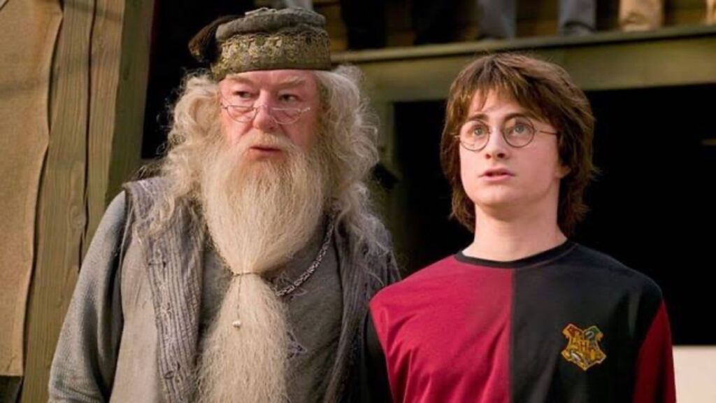 Dumbledore and Harry Potter (Image: Warner Bros)