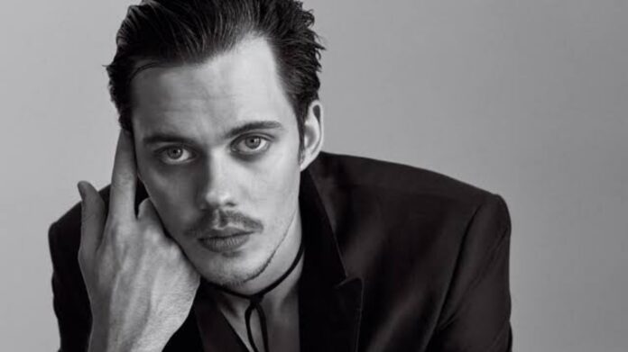 Bill Skarsgård (Image: GQ)