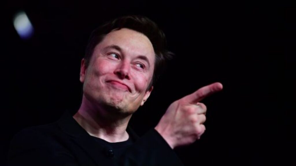 Elon Musk (Image: AP)