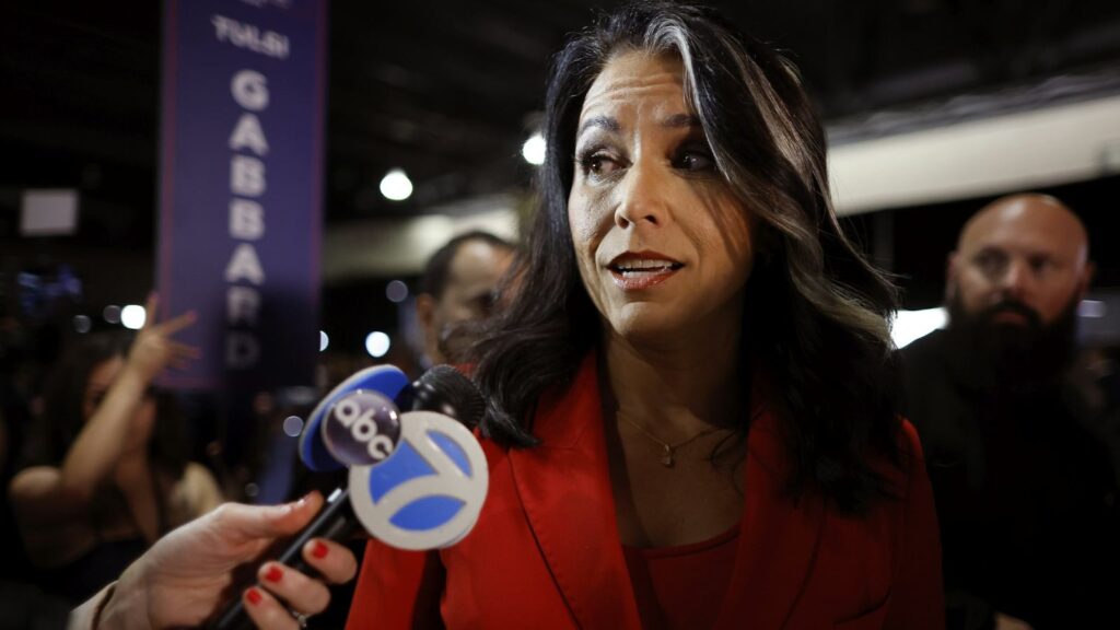 Tulsi Gabbard (Image: AP)