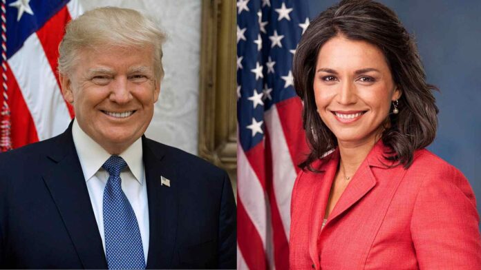 Donald Trump and Tulsi Gabbard (Image: AP)