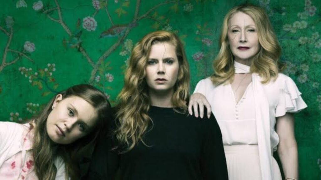 Sharp Objects (Image: HBO Max)