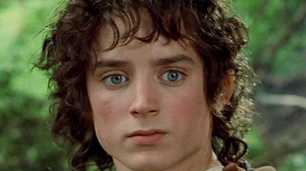 Elijah Wood as Frodo (Image: Warner Bros.)