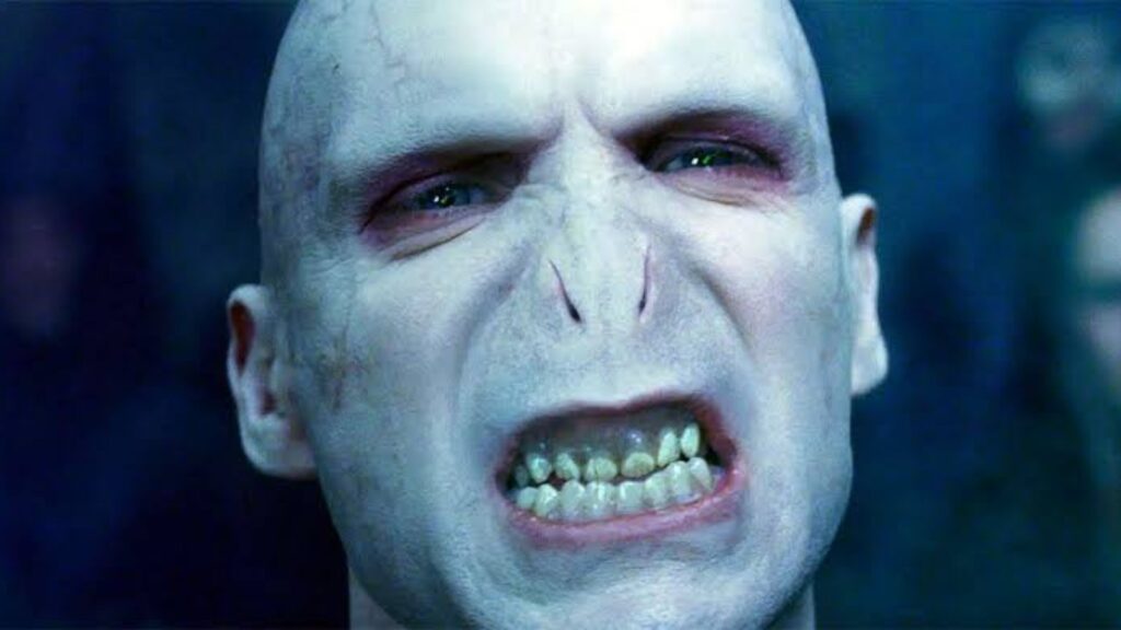 Lord Voldemort in Harry Potter film series (Image: Warner Bros)