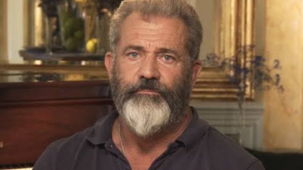 Mel Gibson (Image: France 24)