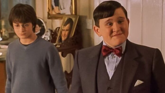 Dudley and Harry in 'Harry Potter' (Image: Warner Bros)