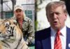 Joe Exotic and Donald Trump (Image: AP)