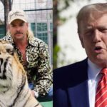 Joe Exotic and Donald Trump (Image: AP)