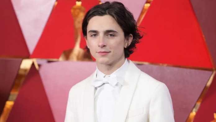 Timothée Chalamet (Image: Billboard)