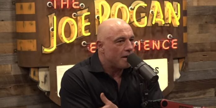 Joe Rogan (Image: the joe rogan experience)