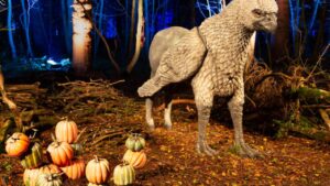 'Harry Potter': Why Forbidden Forest Is Actually Forbidden?'Harry