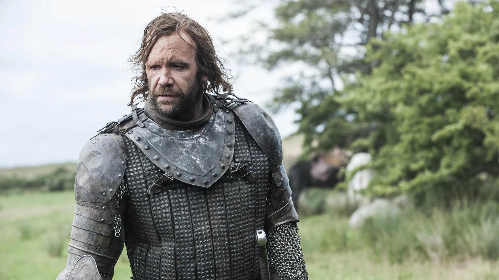 11. Sandor "The Hound" Clegane