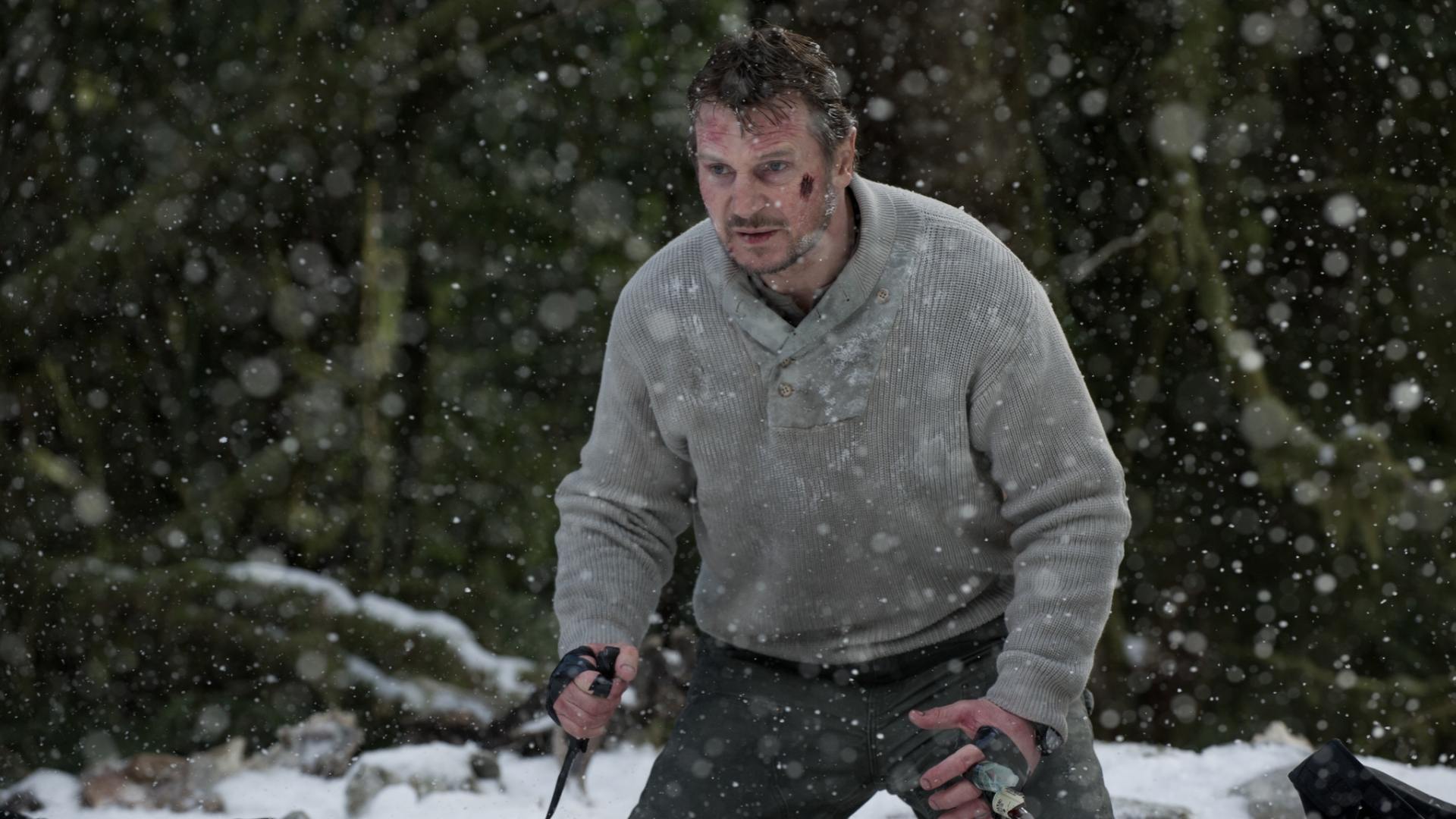 13. The Grey (2011)