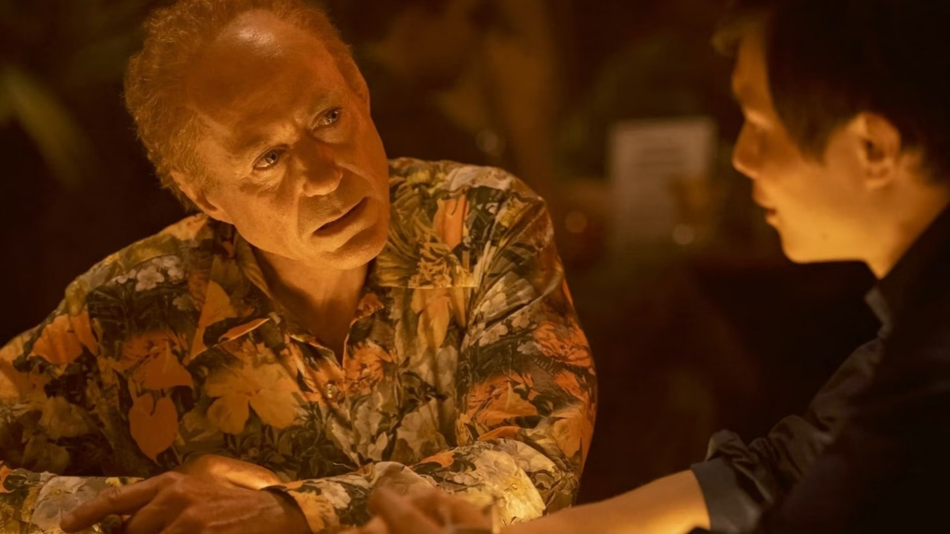 17. The Sympathizer