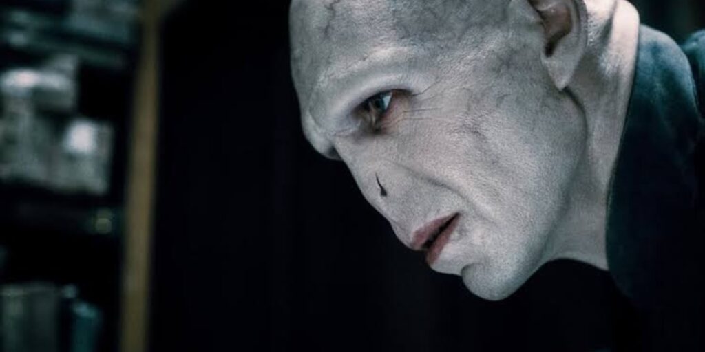 Voldemort (Image: Warner Bros)