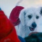 Krypto in 'Superman' (Image: Warner Bros.)