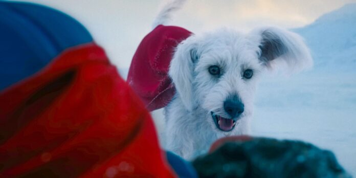 Krypto in 'Superman' (Image: Warner Bros.)
