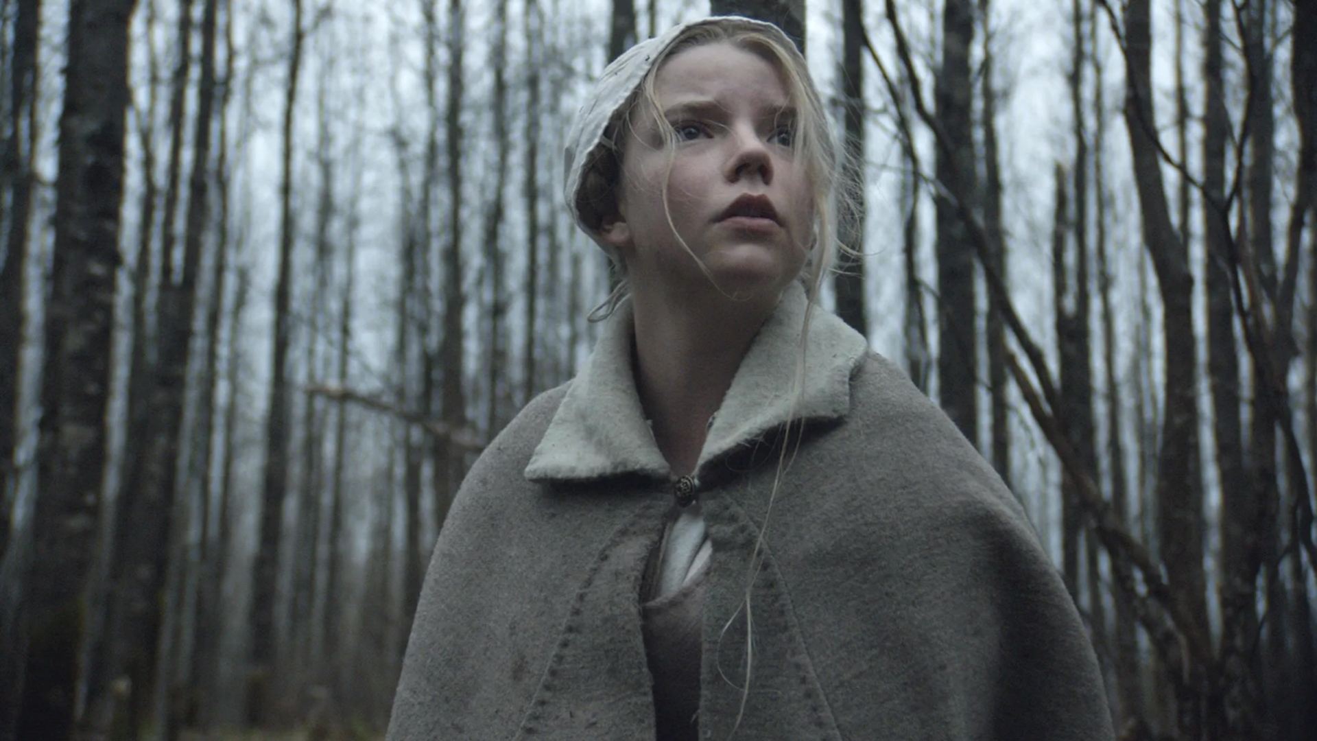19. The Witch (2015)