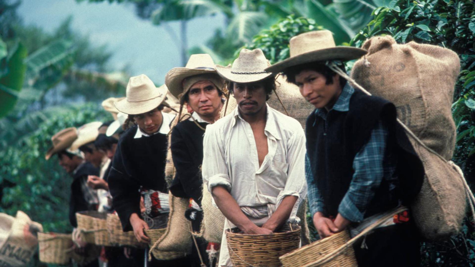 2. El Norte (1983)