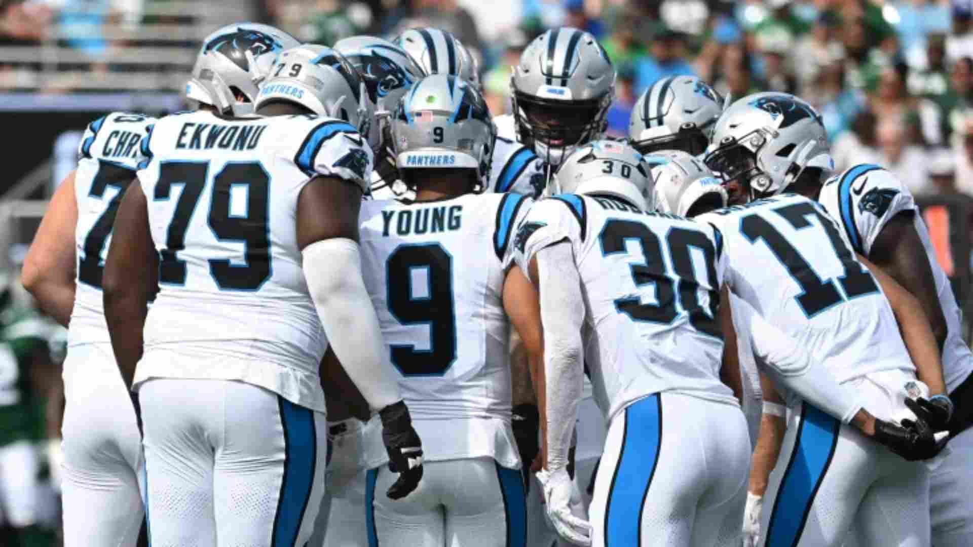 Carolina Panthers – $65