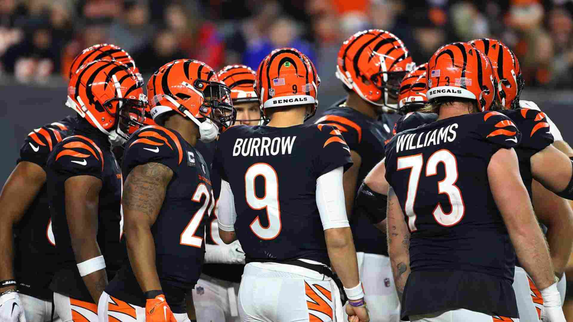Cincinnati Bengals – $153