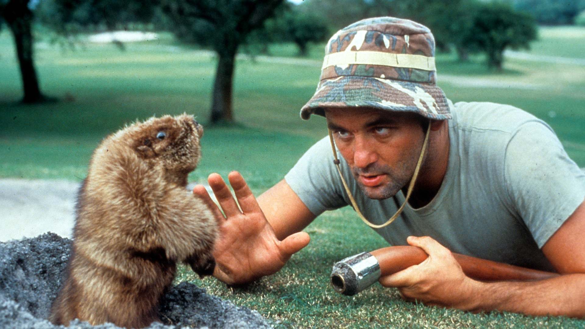 8. Caddyshack (1980)