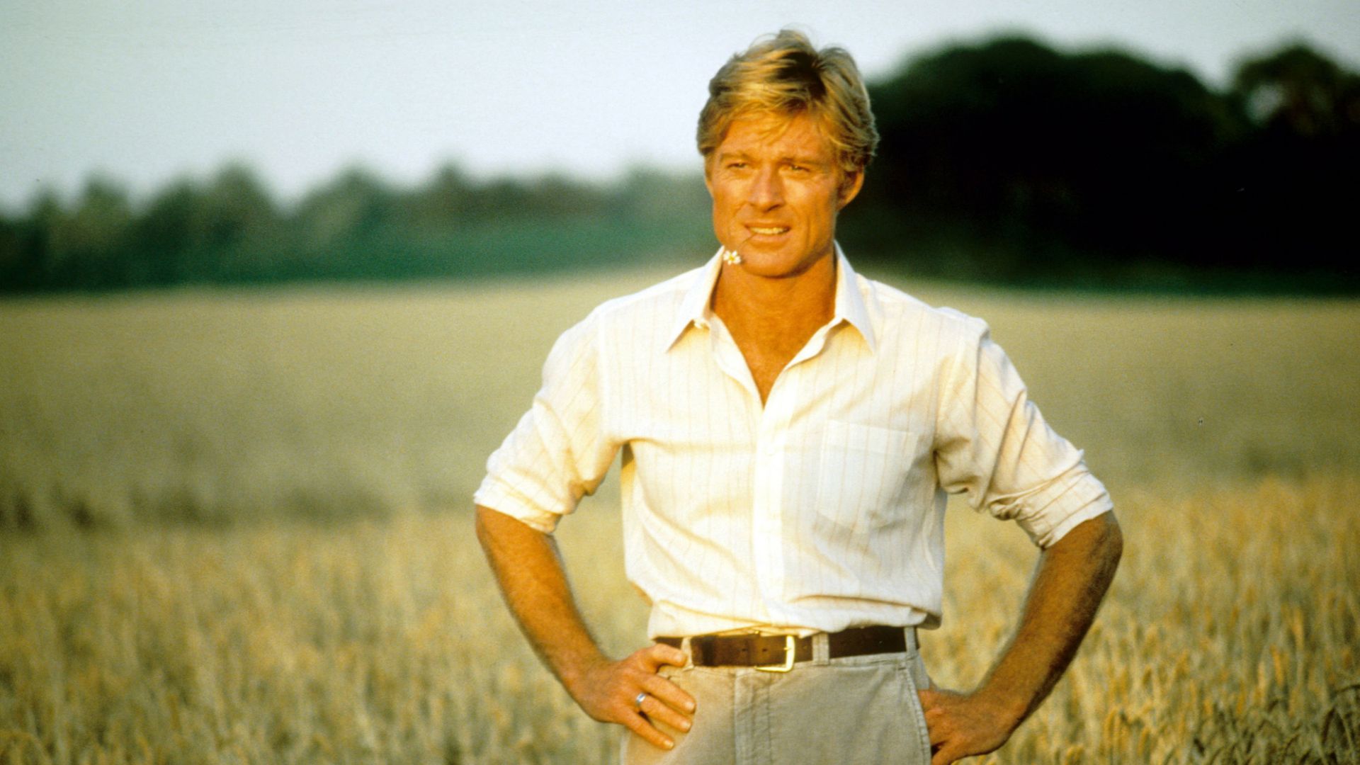23. The Natural (1984)
