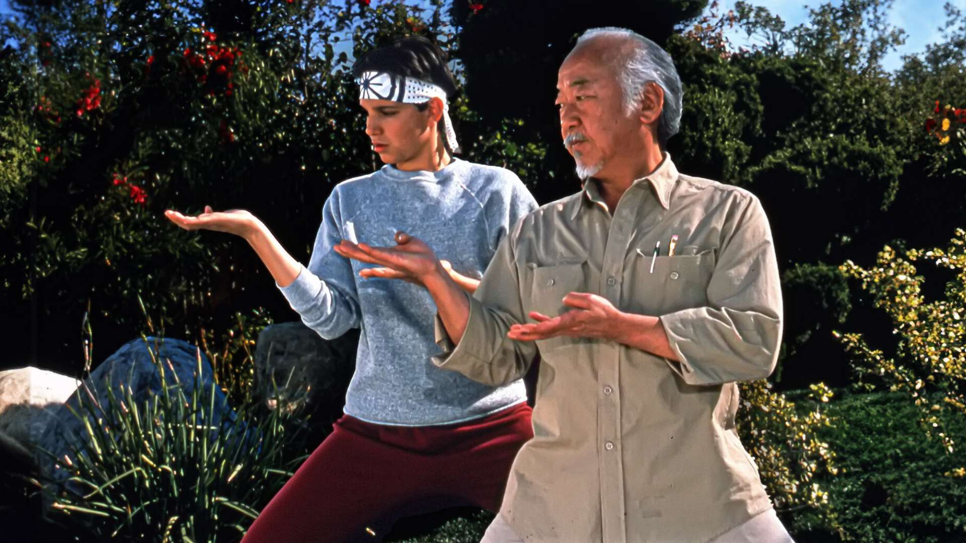 17. The Karate Kid (1984)