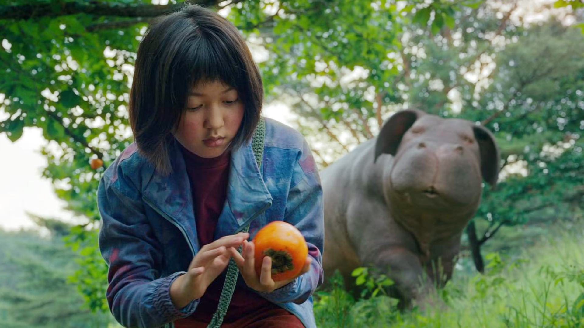 24. Okja (2017)