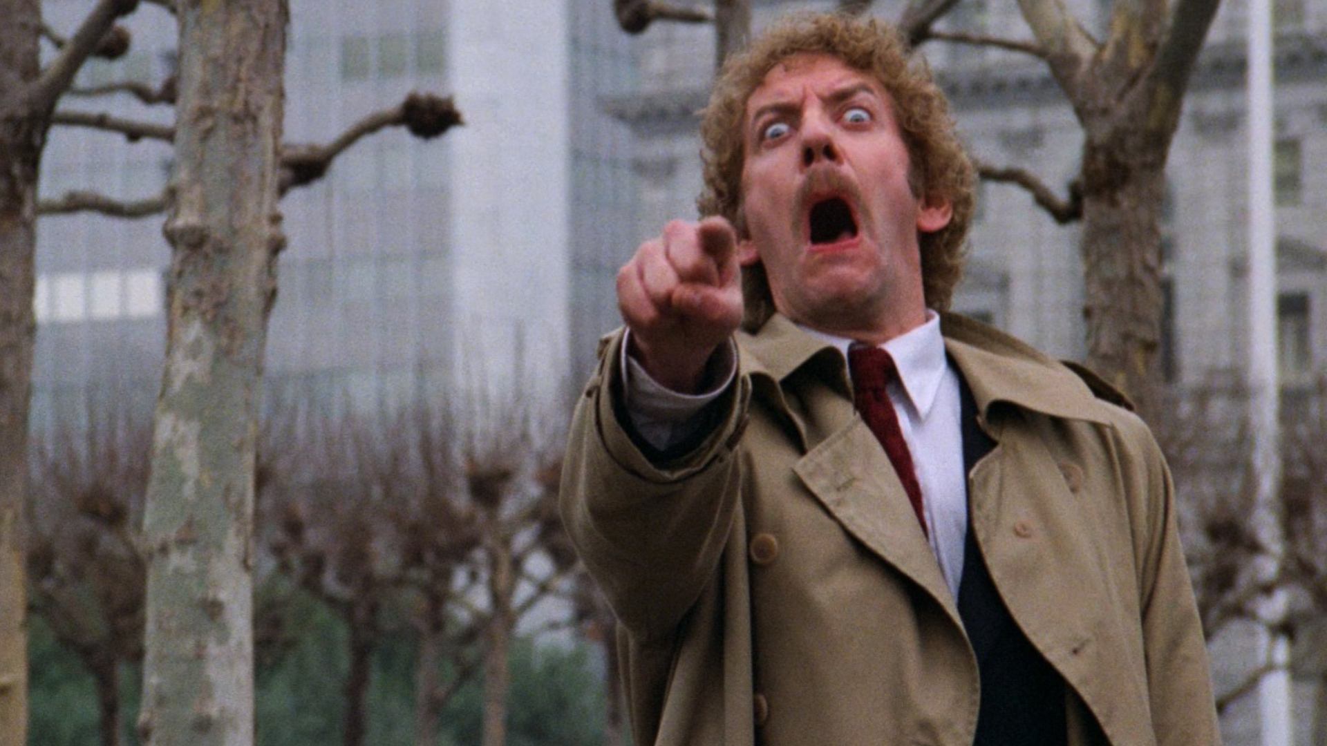 19. Invasion of the Body Snatchers (1978)