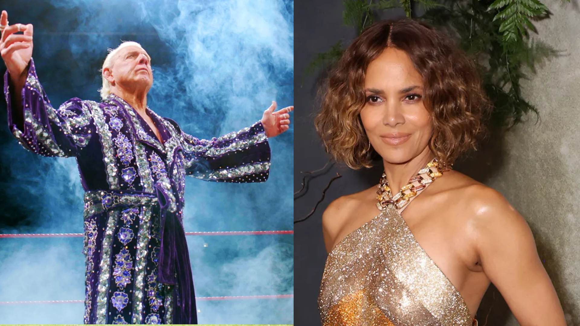17. Ric Flair - Halle Berry