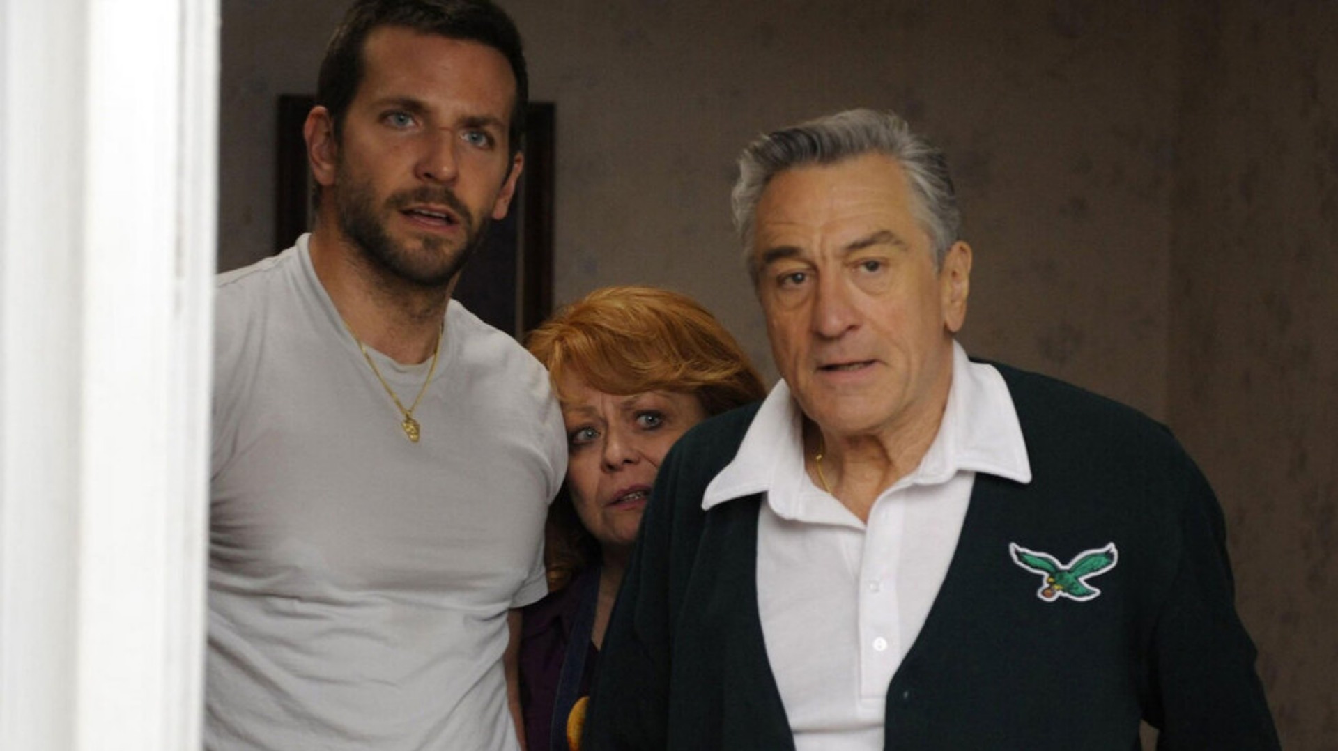 22. Silver Linings Playbook (2012)