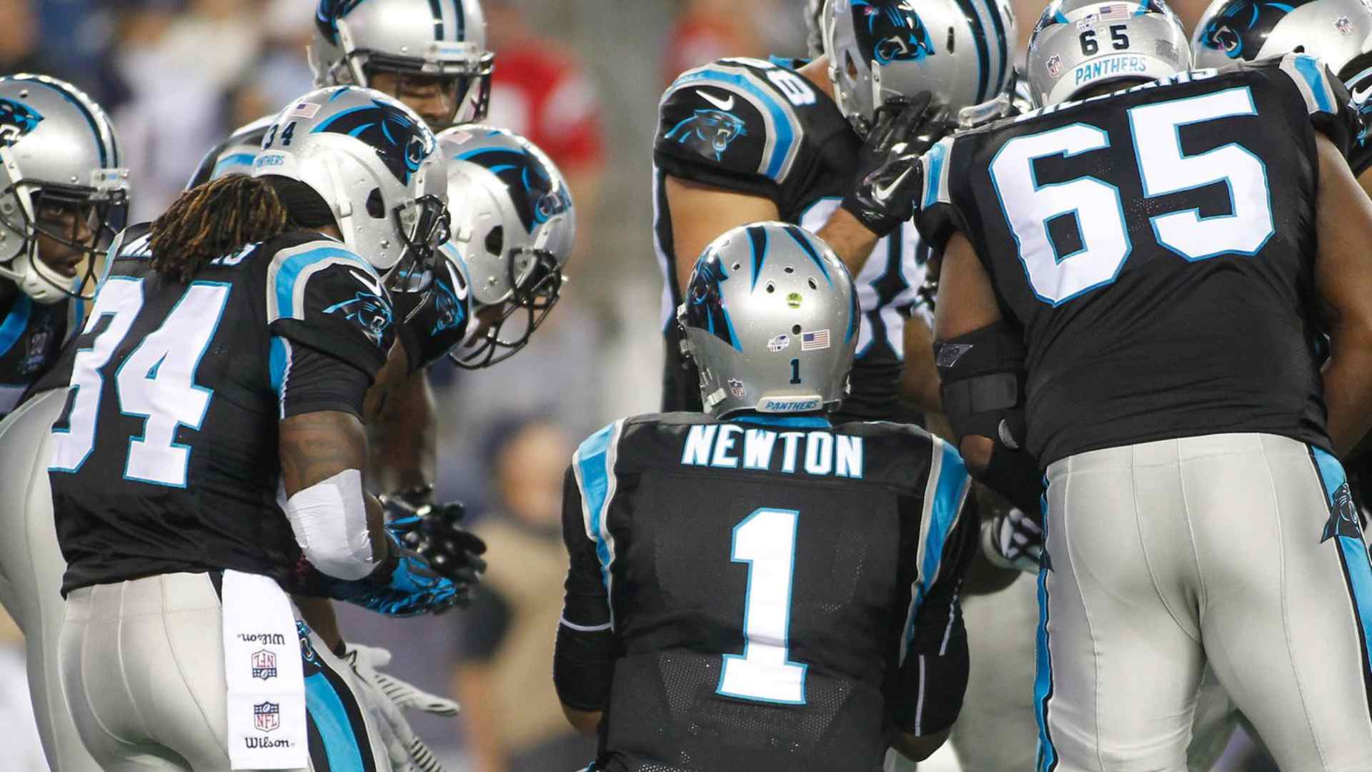 2015 - Carolina Panthers