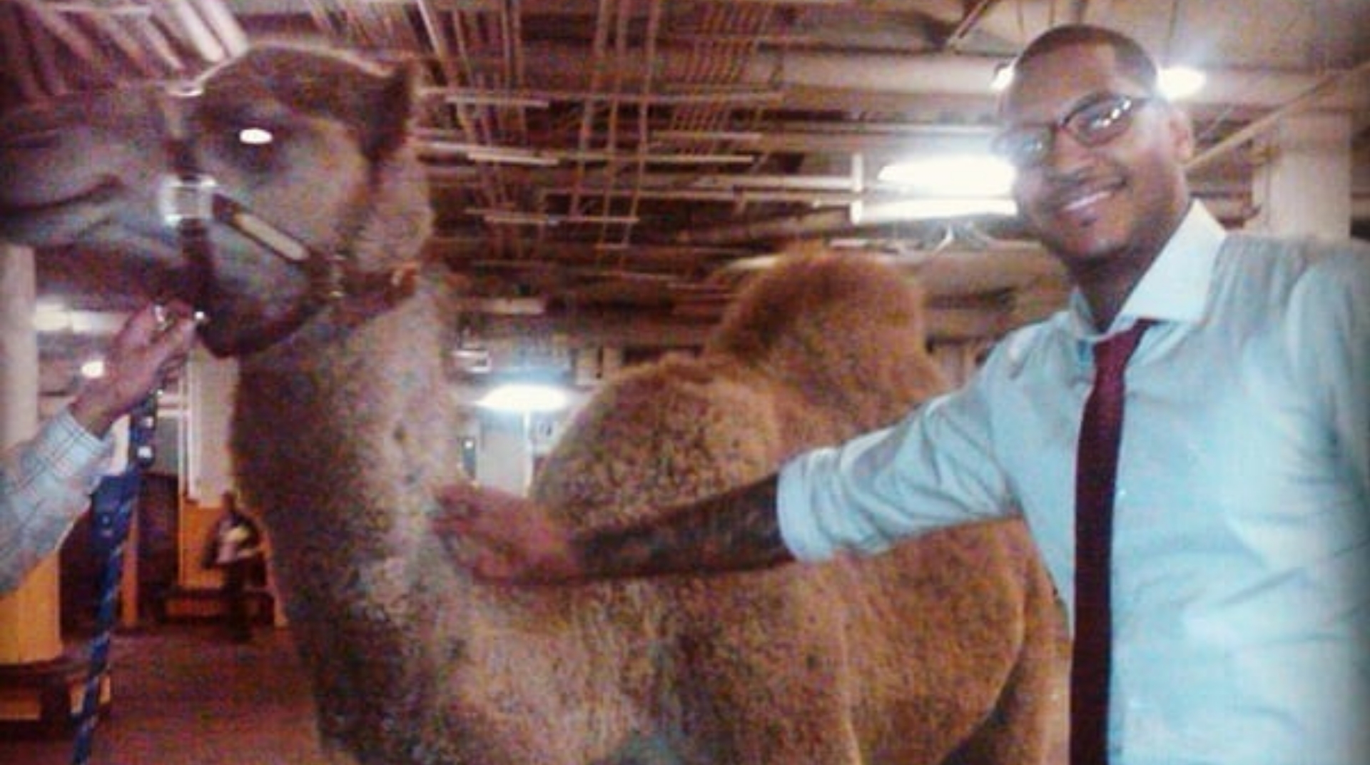 25. Carmelo Anthony - Camel