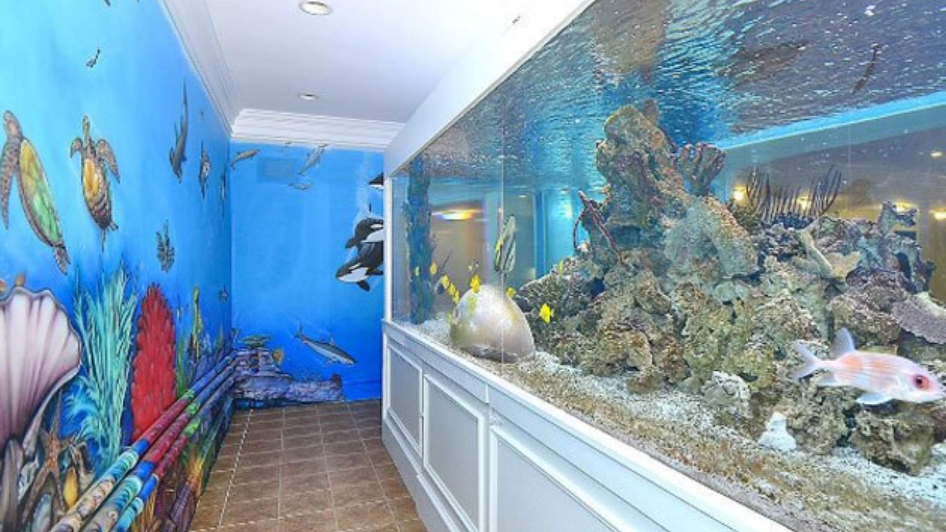 7. Gilbert Arenas' In-Home Shark Tank: A Jaw-Dropping Feature