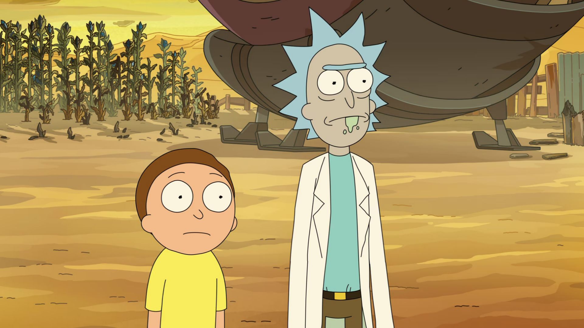 17. Rick and Morty