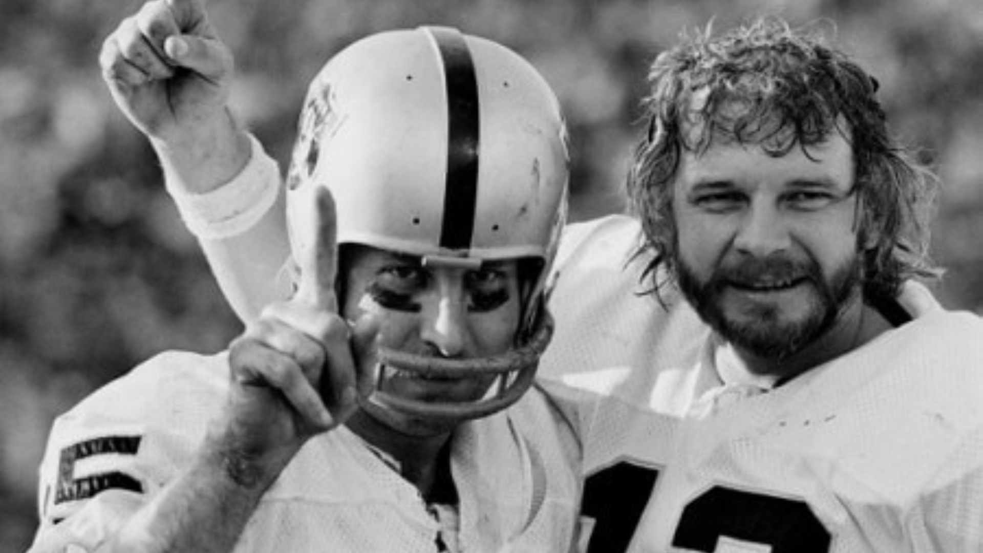 14) 1976 Oakland Raiders (13–1, SB XI champs)