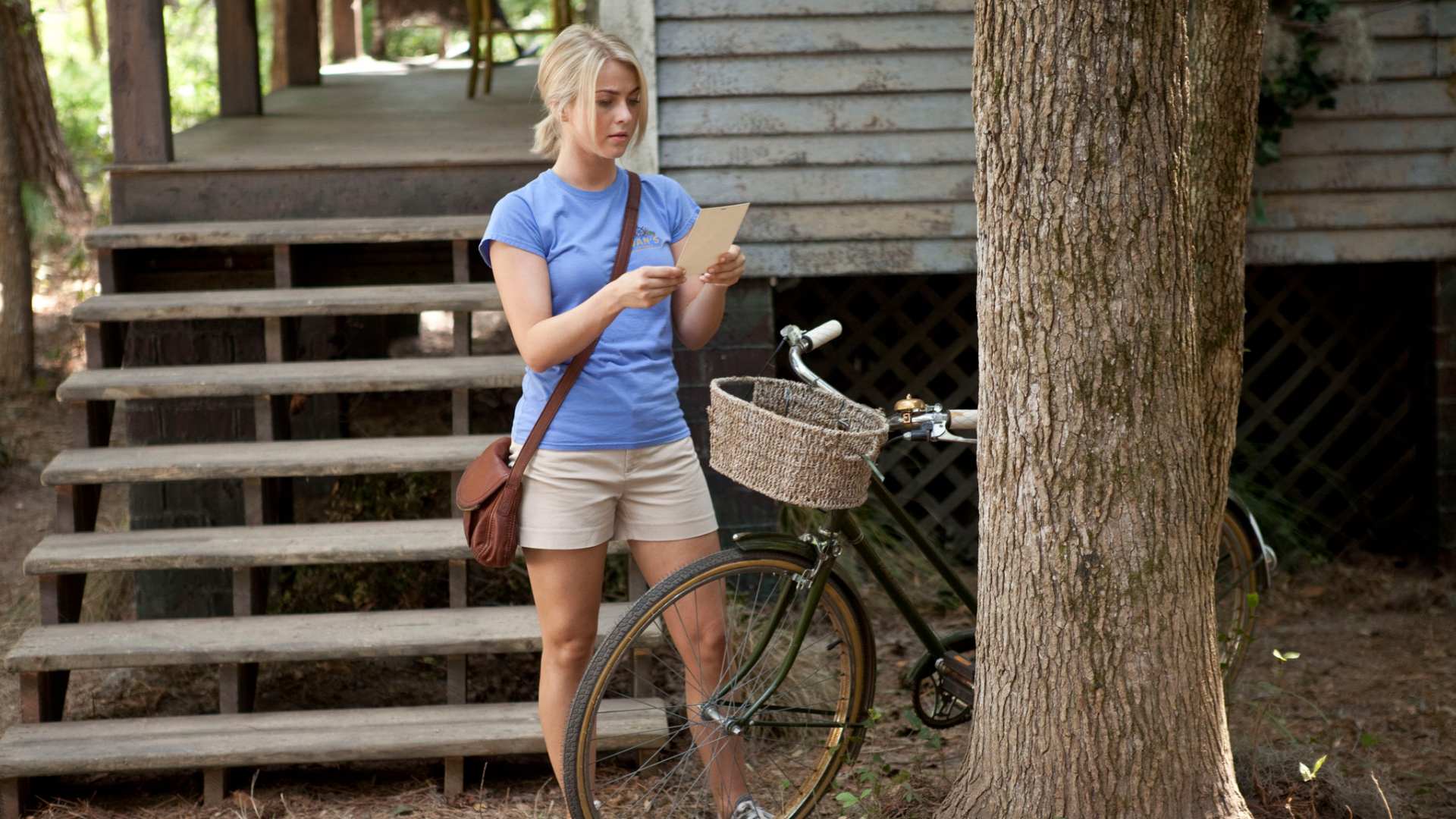 12. Safe Haven