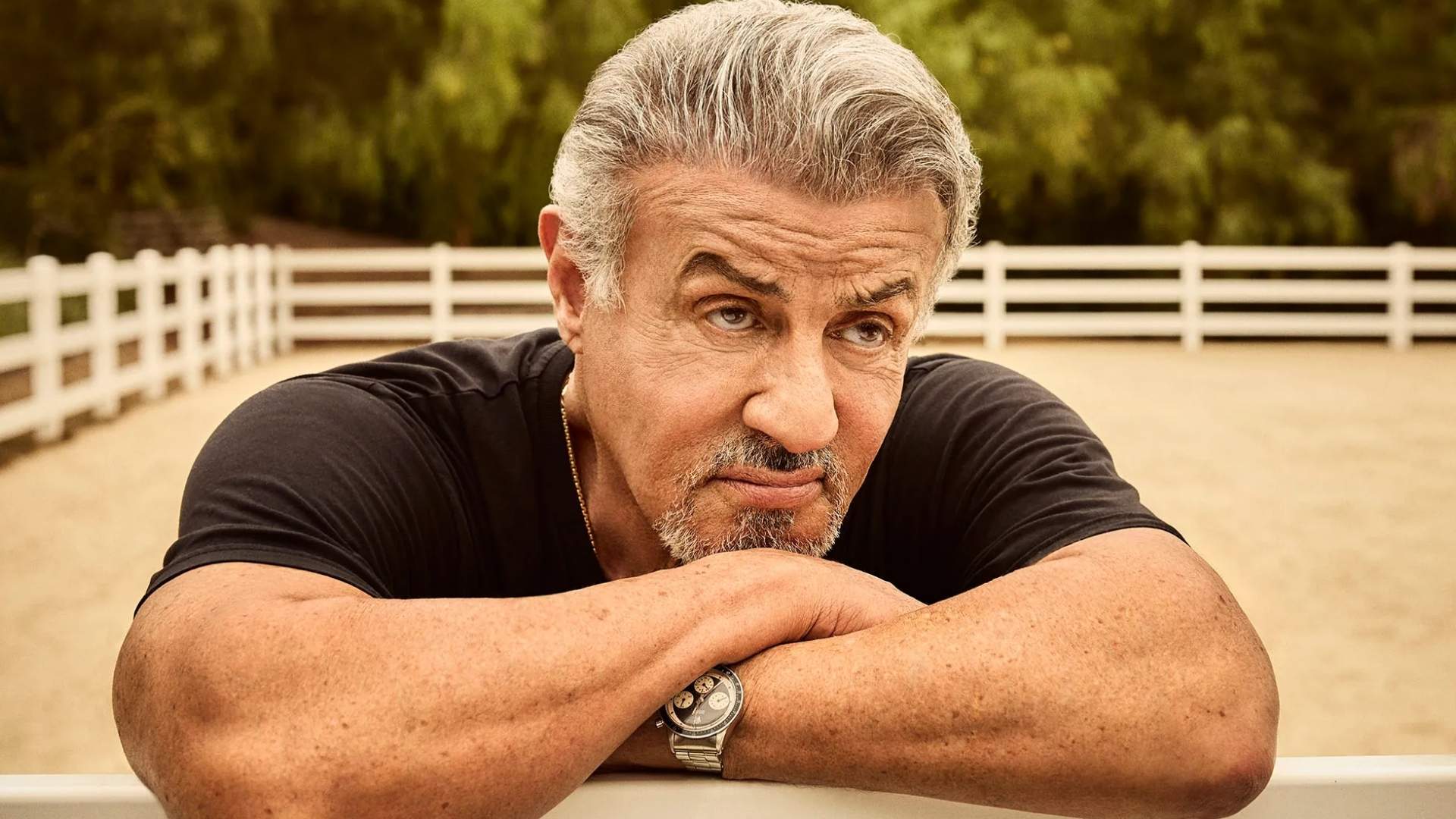 13. Sylvester Stallone, Lion Cage Cleaner