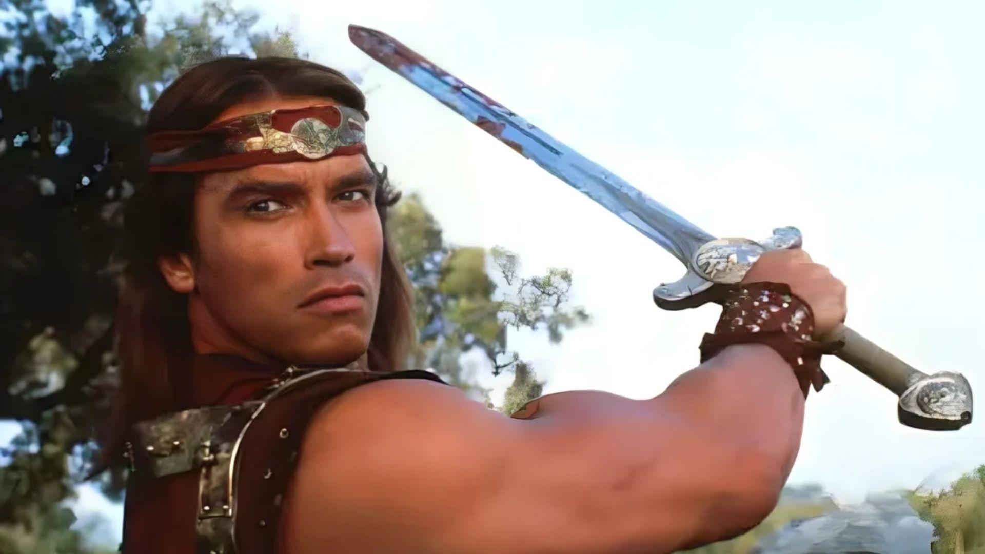 6. Arnold Schwarzenegger - ‘Red Sonja’