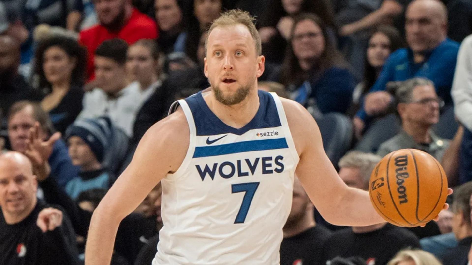 17. Joe Ingles