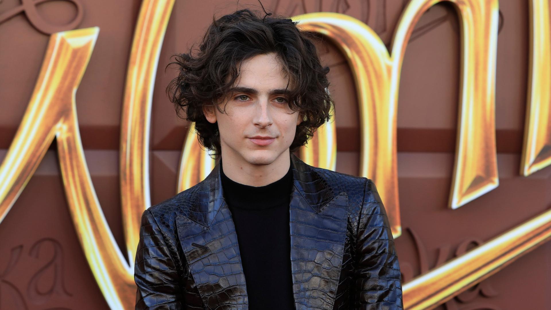 Timothée Chalamet - Teenage Rap Persona “Lil Timmy Tim”