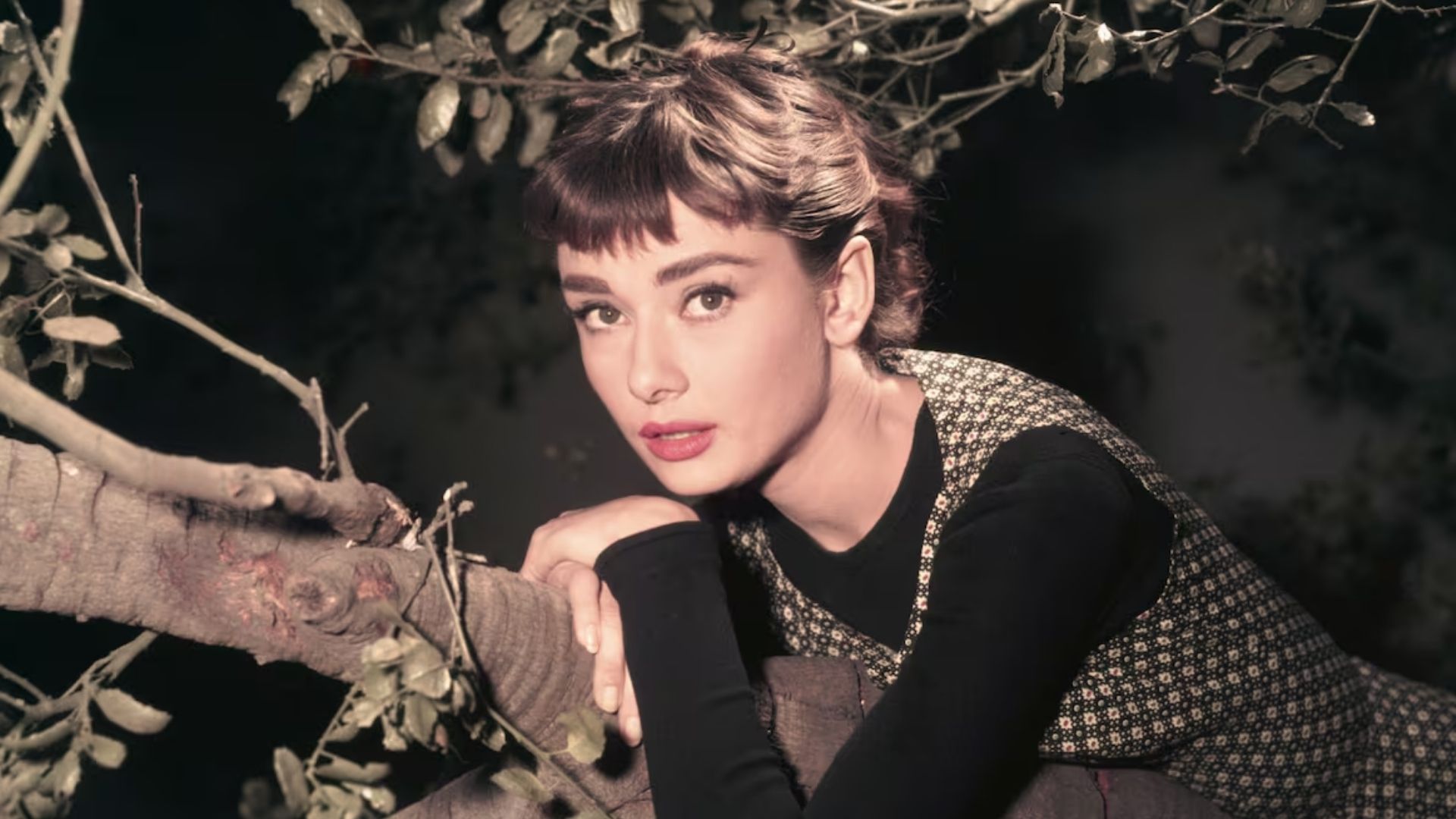 Audrey Hepburn