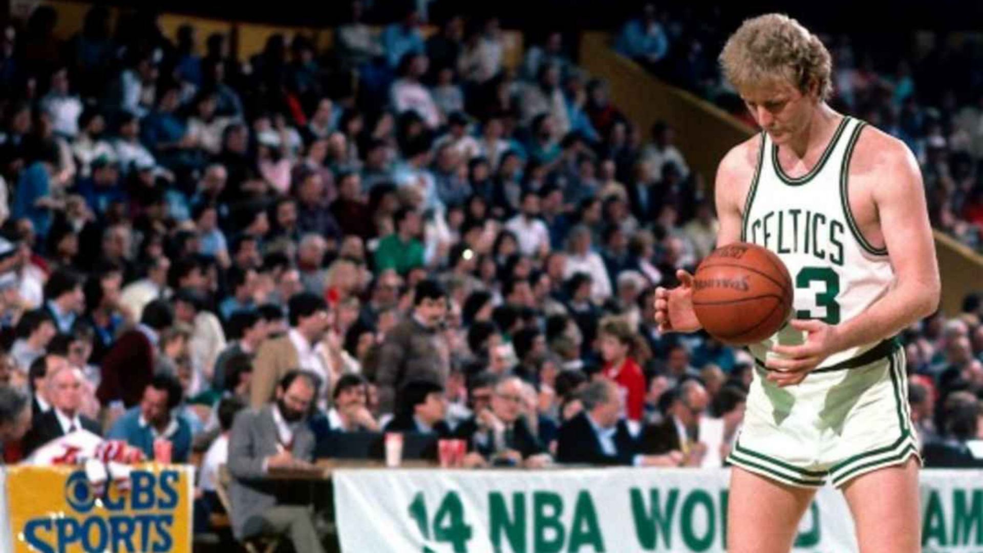 Larry Bird, 1984