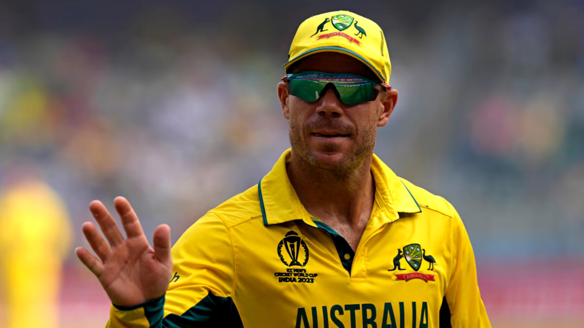 David Warner