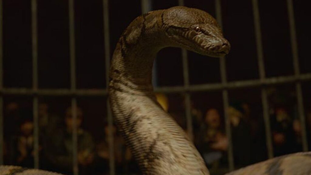 Nagini