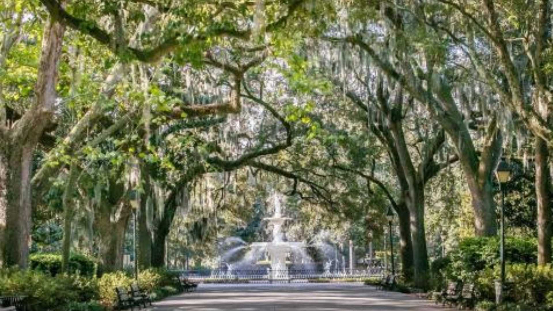 Forrest Gump - Savannah, US