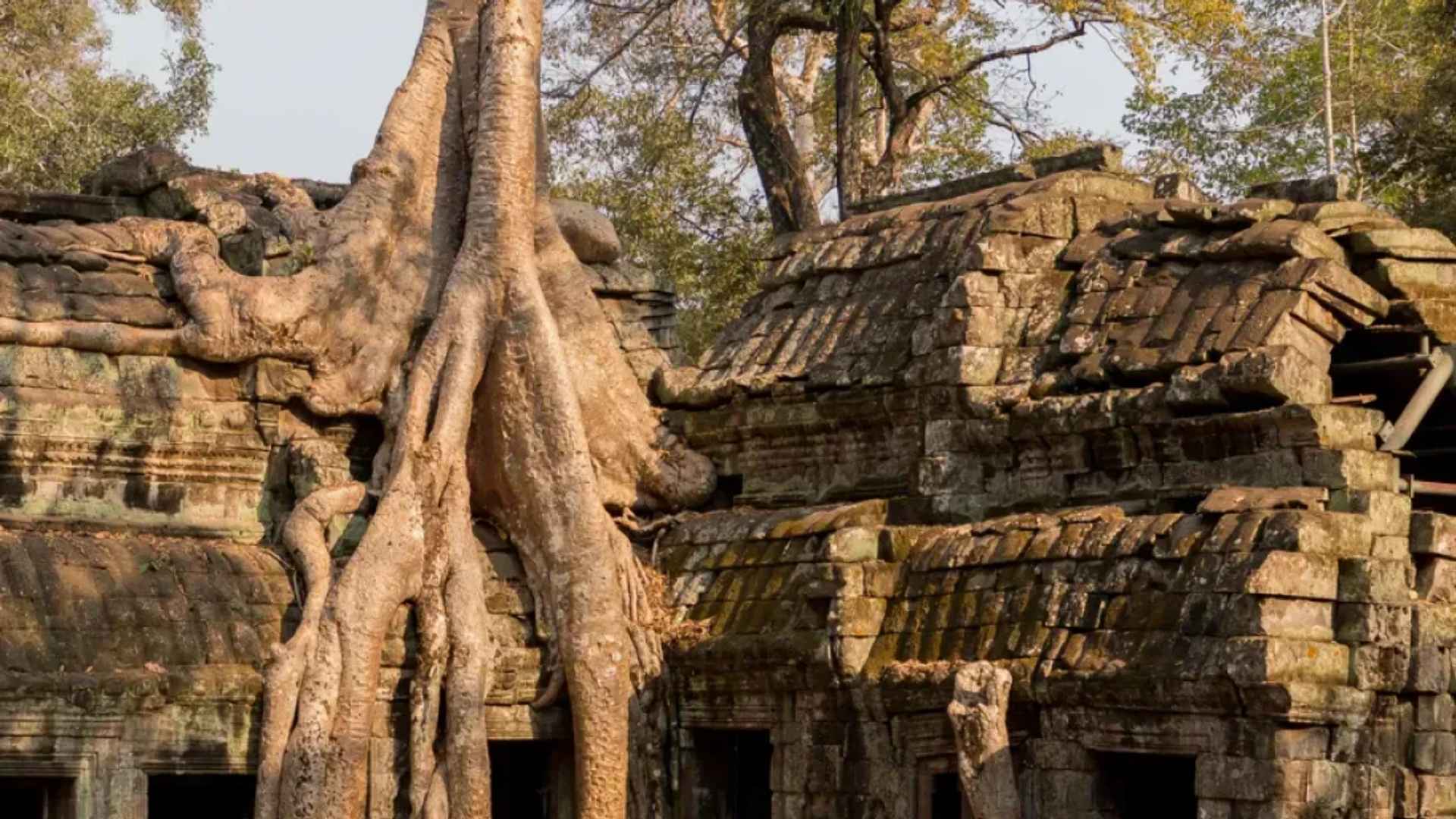 Lara Croft: Tomb Raider, Cambodia